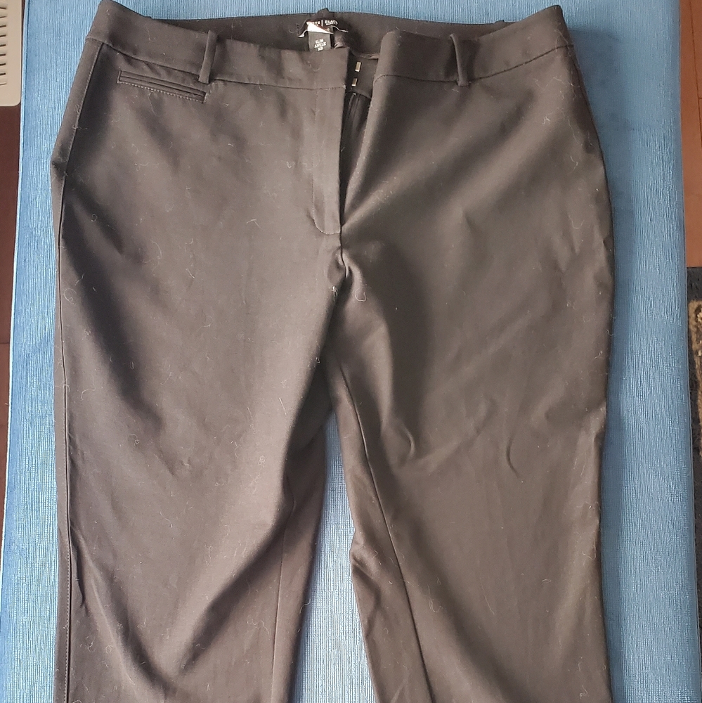 WHBM ankle pant size 16 Regular